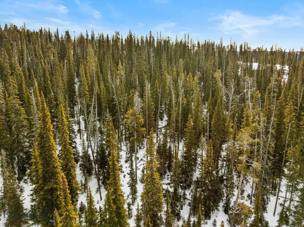 Tbd White Butte Road Big Sky MT 59716