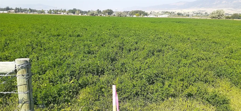 27 Sugar Beet Row Whitehall MT 59759