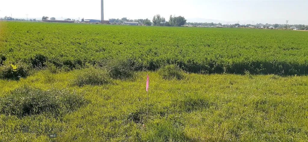 27 Sugar Beet Row Whitehall MT 59759