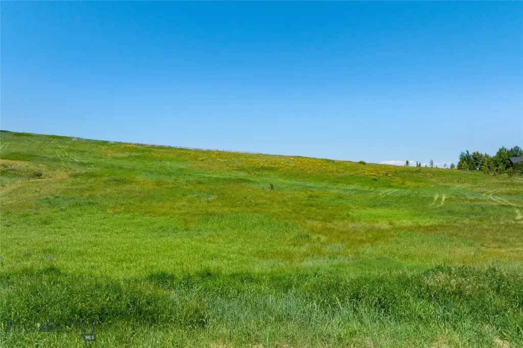Lot 5 Francham Bozeman MT 59715