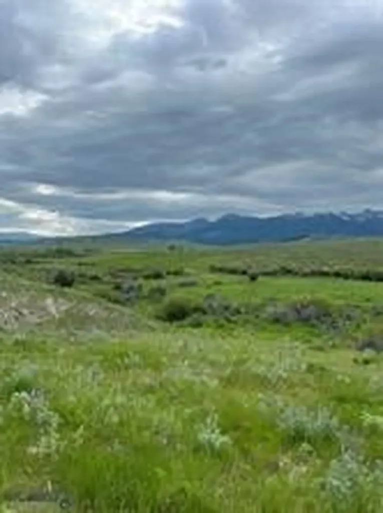 000 Elk Creek Road W Wilsall MT 59086