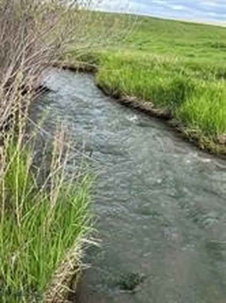000 Elk Creek Road W Wilsall MT 59086