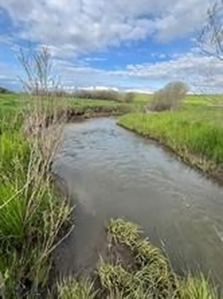 000 Elk Creek Road W Wilsall MT 59086