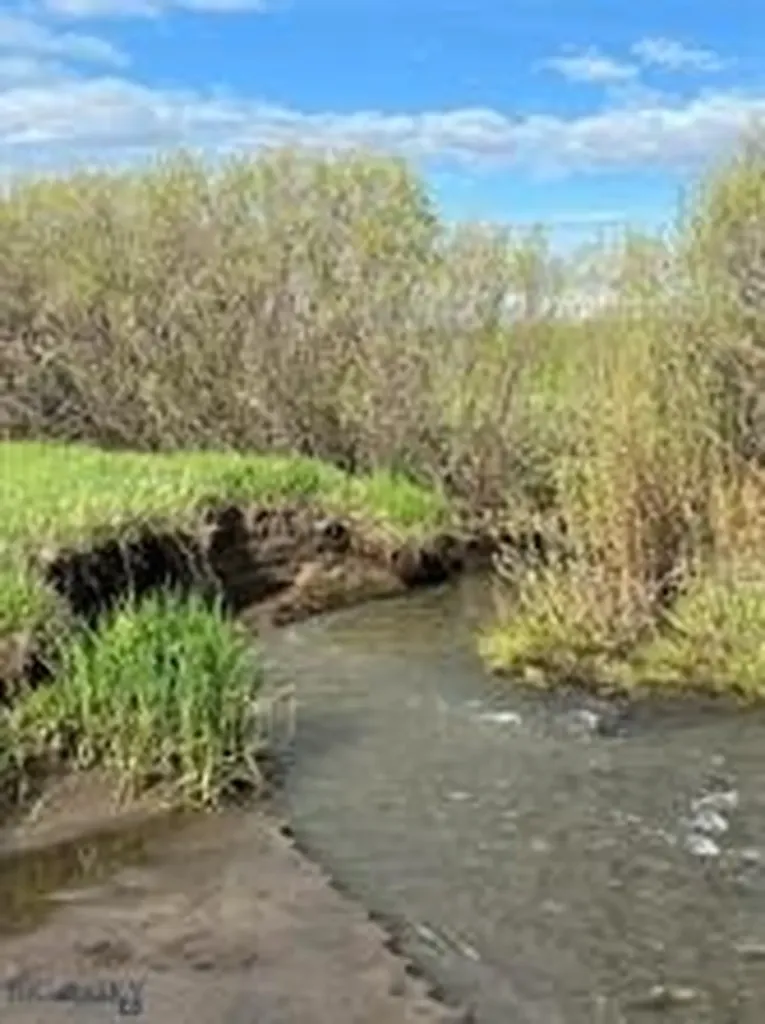 000 Elk Creek Road W Wilsall MT 59086