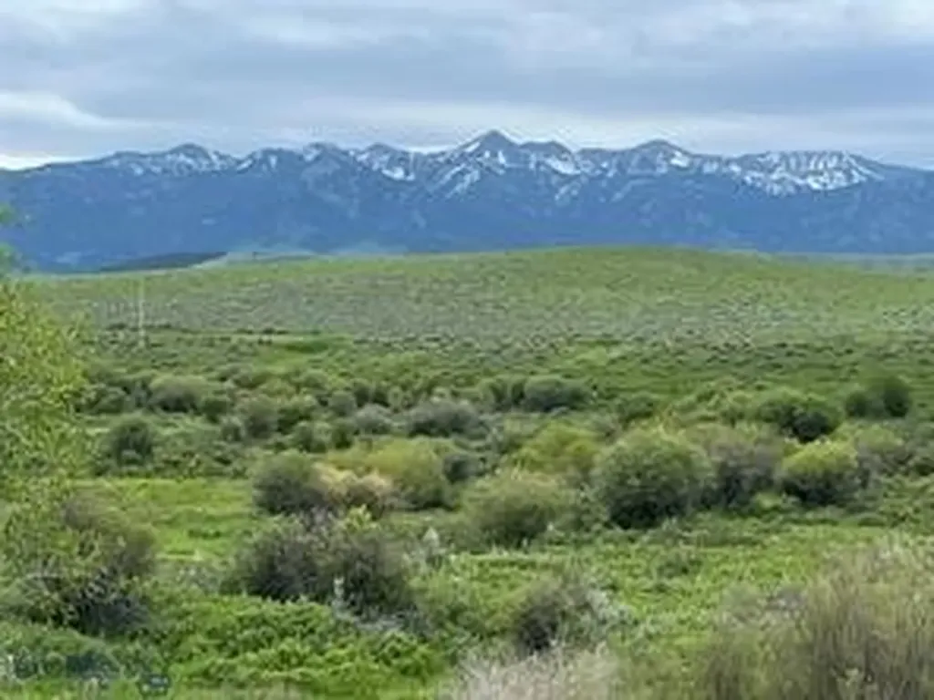 000 Elk Creek Road W Wilsall MT 59086