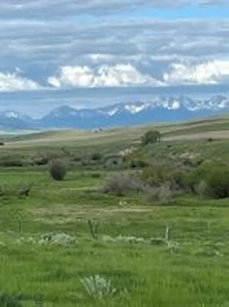 000 Elk Creek Road W Wilsall MT 59086
