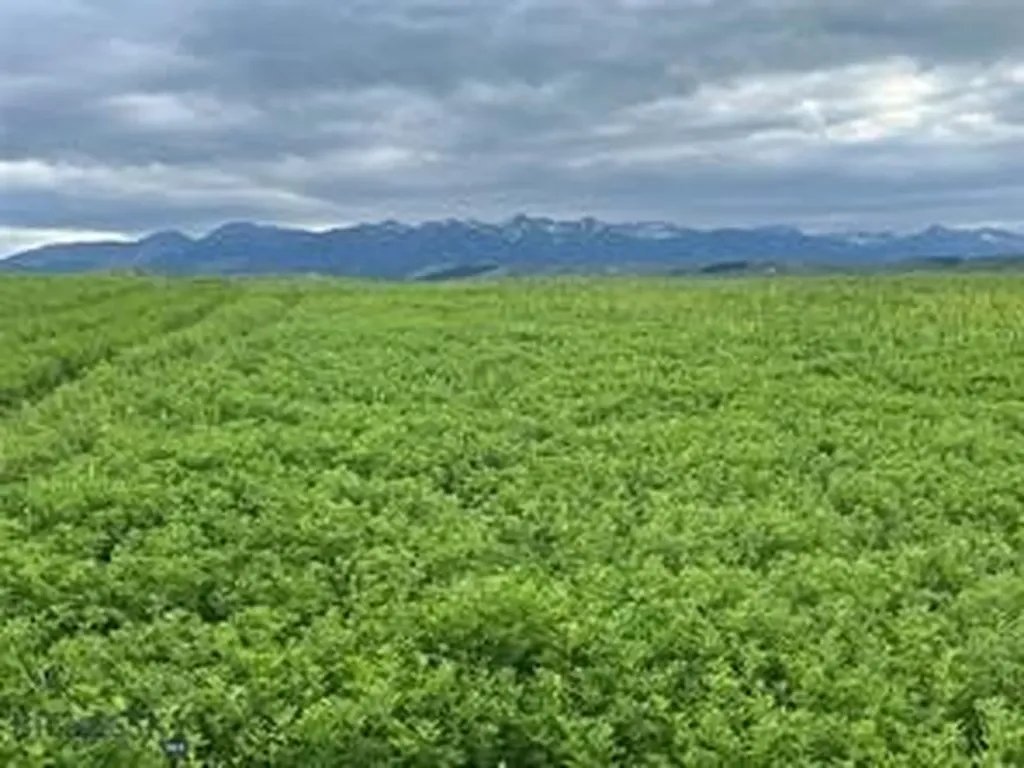 000 Elk Creek Road W Wilsall MT 59086