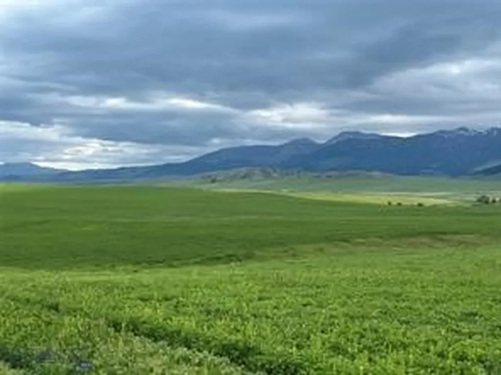 000 Elk Creek Road W Wilsall MT 59086