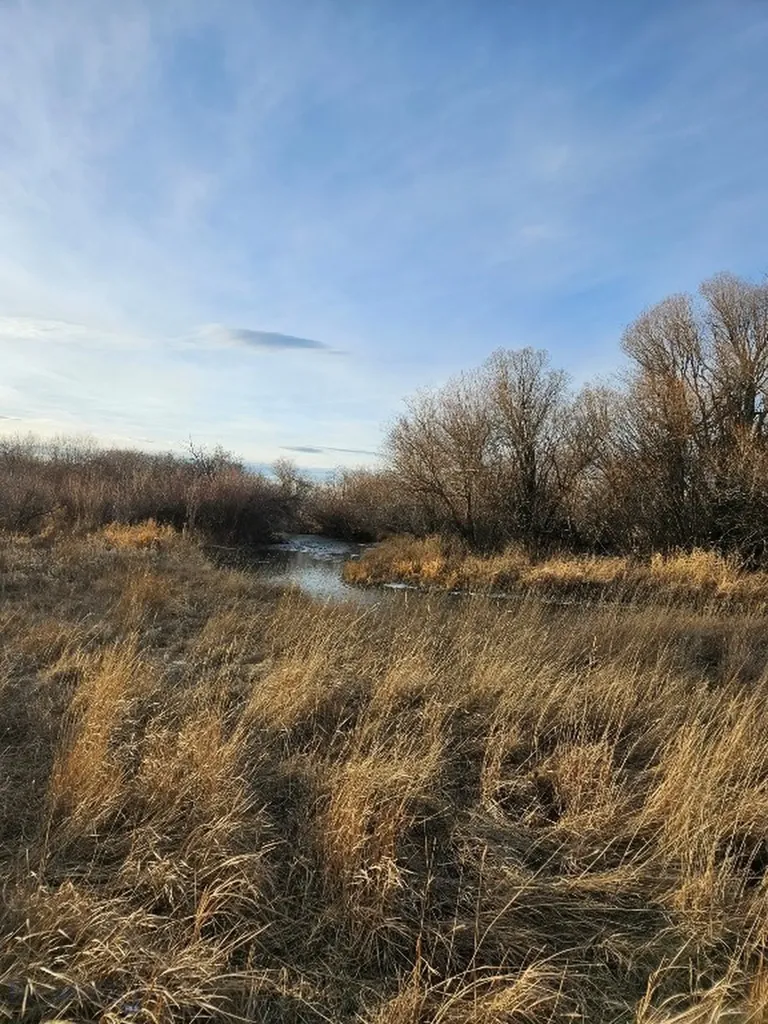 Nhn Baker Street White Sulphur Springs MT 59645