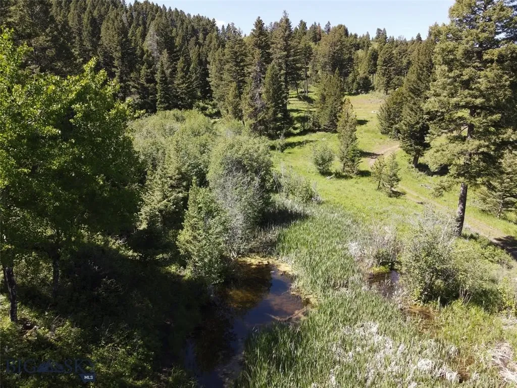 770 Mountain Moose Road Bozeman MT 59715