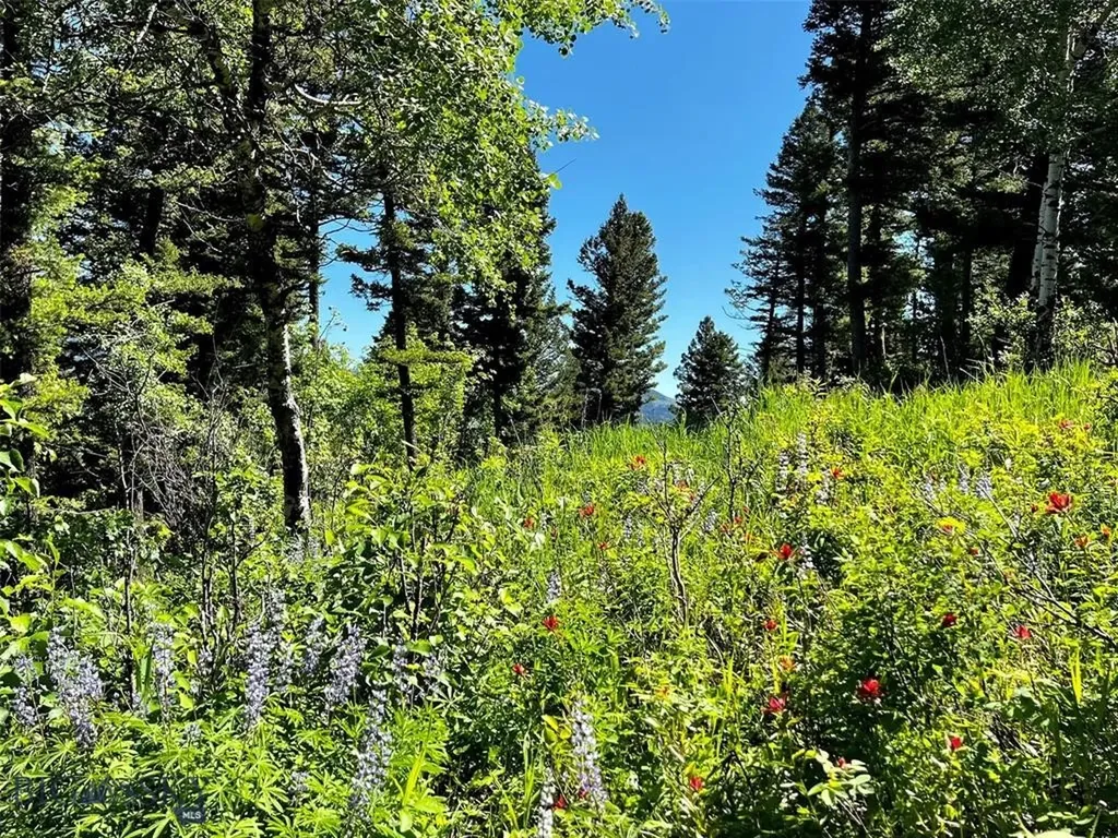 770 Mountain Moose Road Bozeman MT 59715