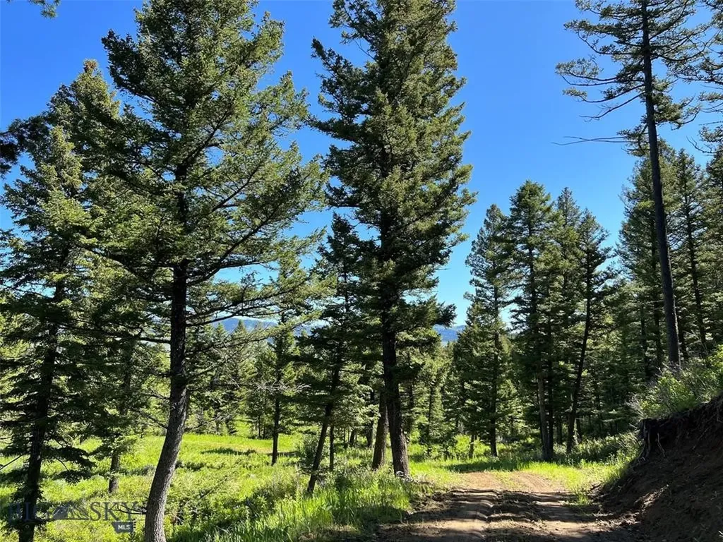 770 Mountain Moose Road Bozeman MT 59715