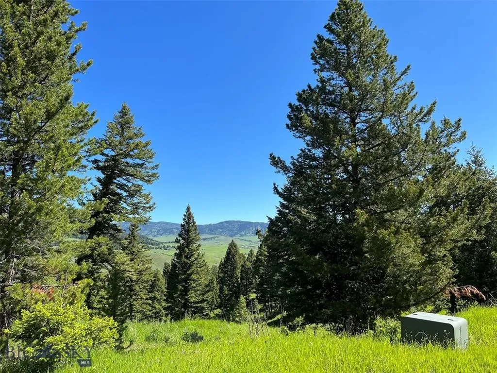 770 Mountain Moose Road Bozeman MT 59715