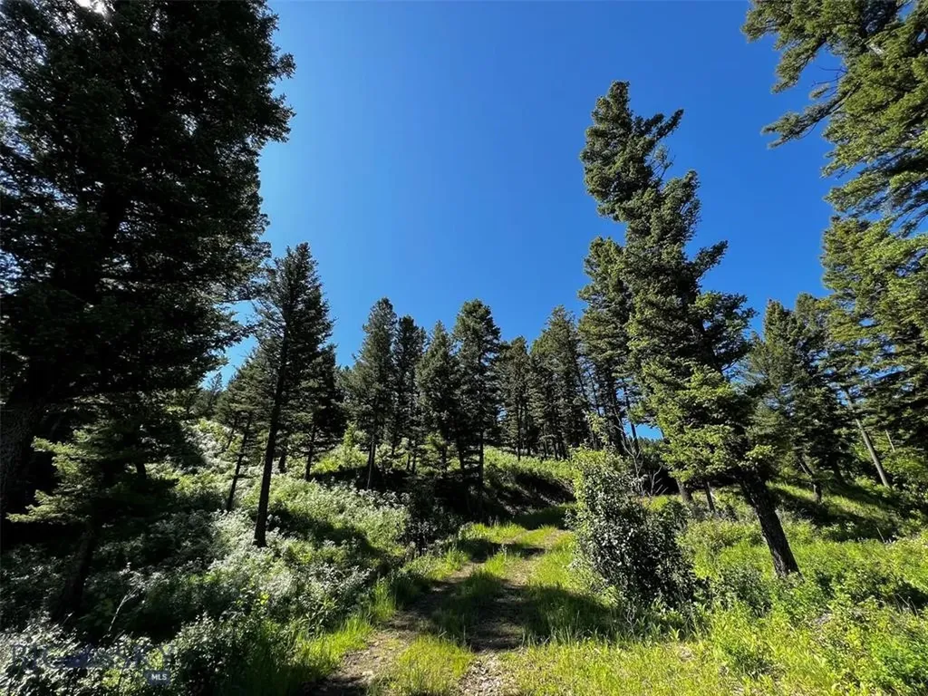 770 Mountain Moose Road Bozeman MT 59715