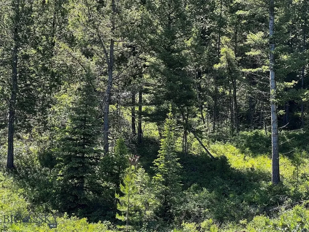 770 Mountain Moose Road Bozeman MT 59715