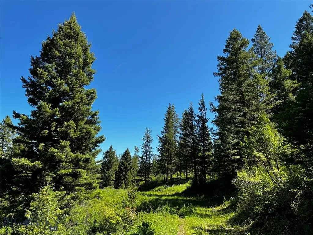 770 Mountain Moose Road Bozeman MT 59715