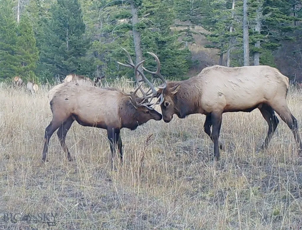 770 Mountain Moose Road Bozeman MT 59715