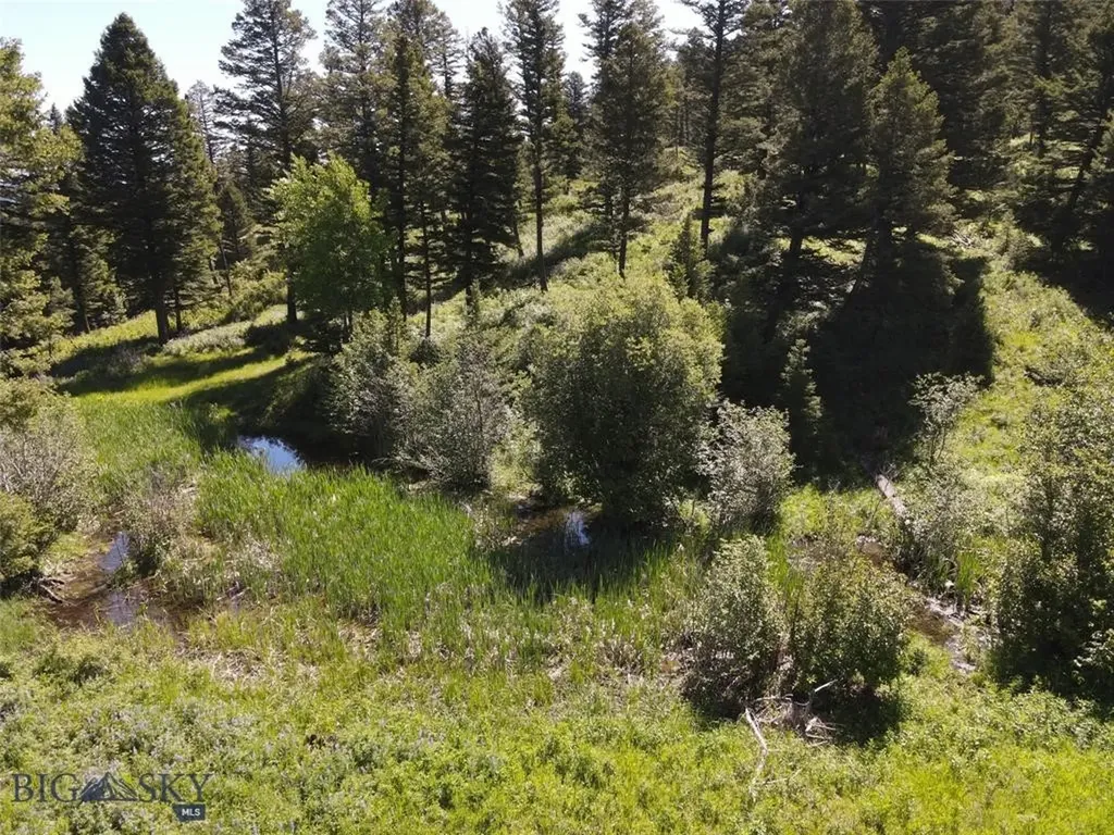 770 Mountain Moose Road Bozeman MT 59715
