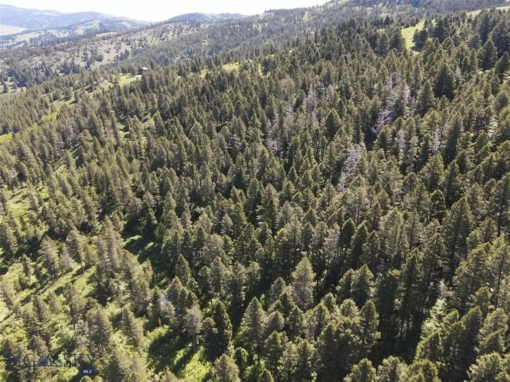 770 Mountain Moose Road Bozeman MT 59715