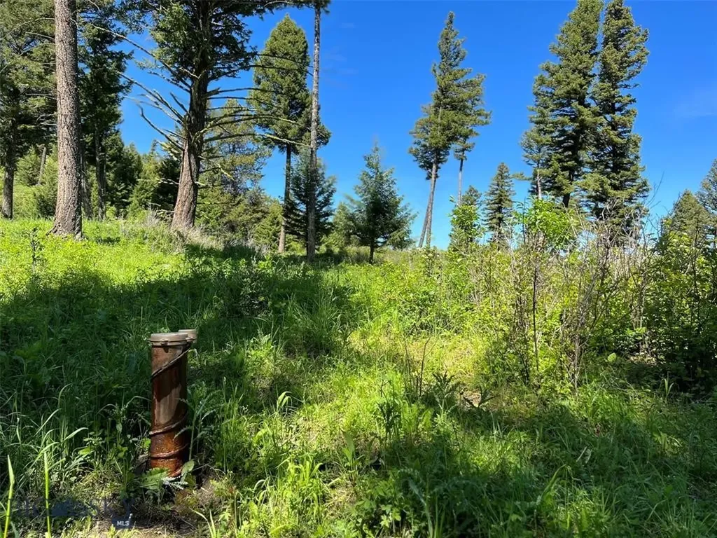 770 Mountain Moose Road Bozeman MT 59715