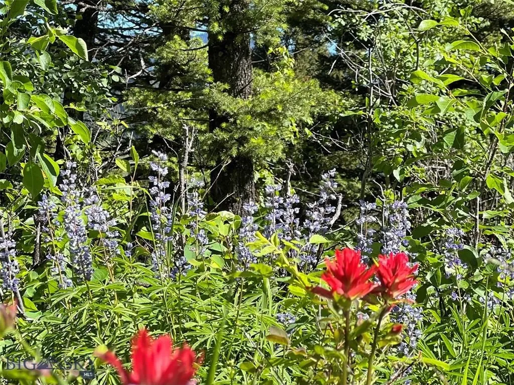 770 Mountain Moose Road Bozeman MT 59715