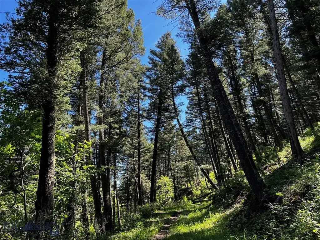 770 Mountain Moose Road Bozeman MT 59715