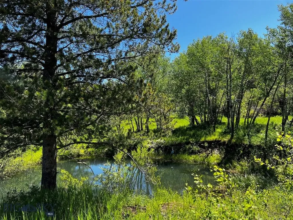 770 Mountain Moose Road Bozeman MT 59715