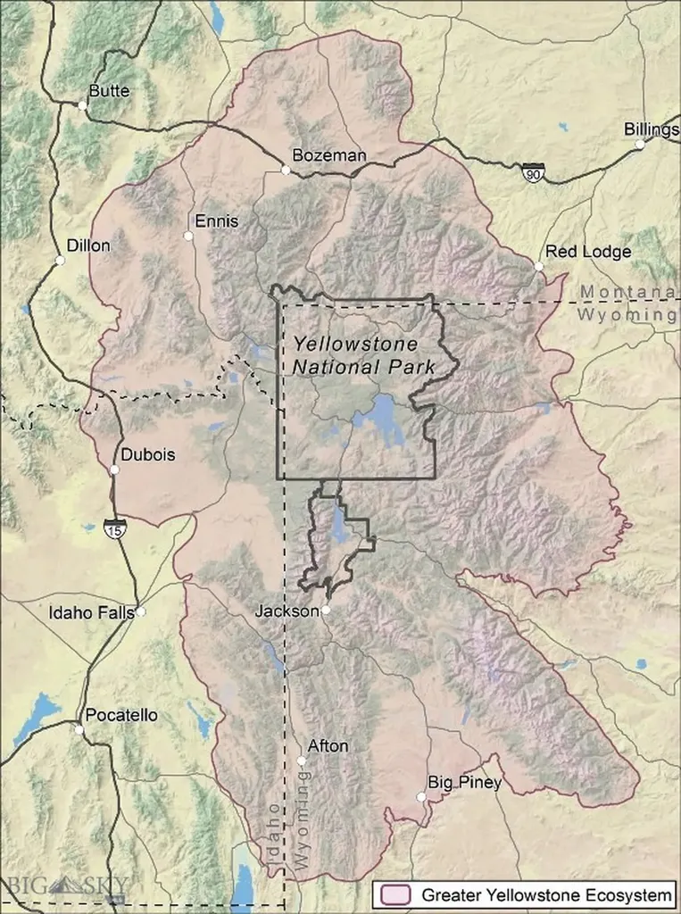 770 Mountain Moose Road Bozeman MT 59715