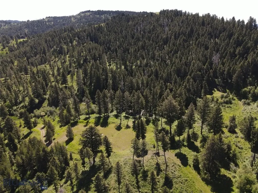 770 Mountain Moose Road Bozeman MT 59715