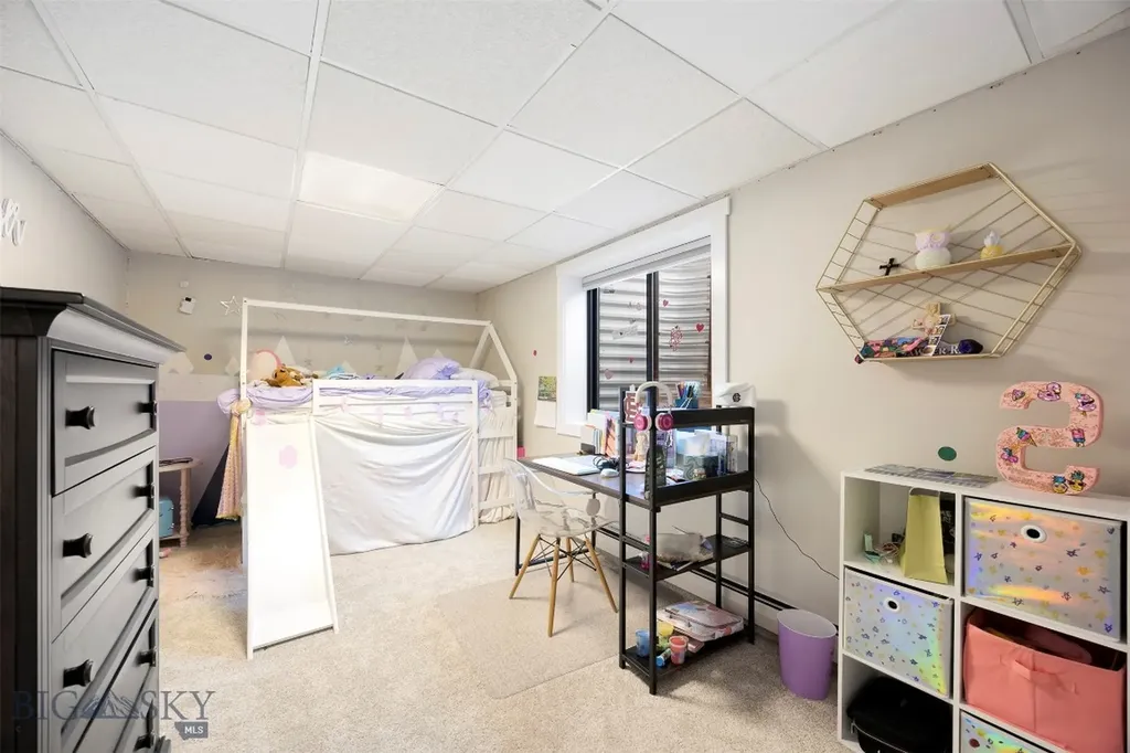 100 Cedar Lake Court Butte MT 59701
