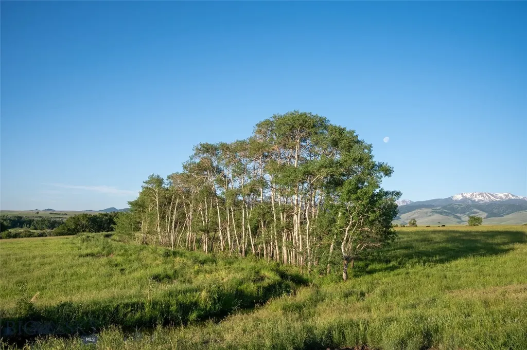 164 Pony Road Harrison MT 59735