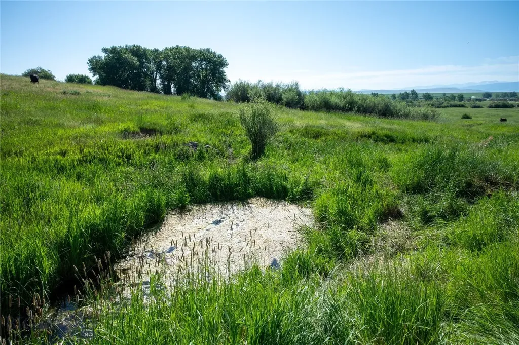 164 Pony Road Harrison MT 59735