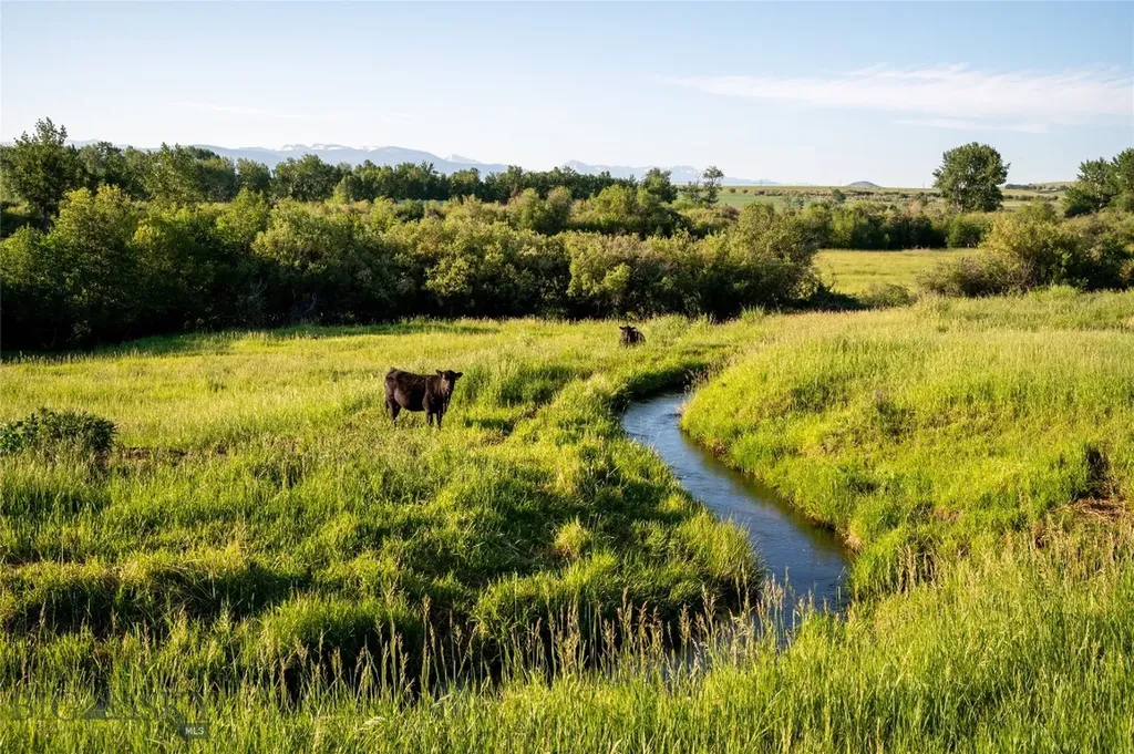 164 Pony Road Harrison MT 59735