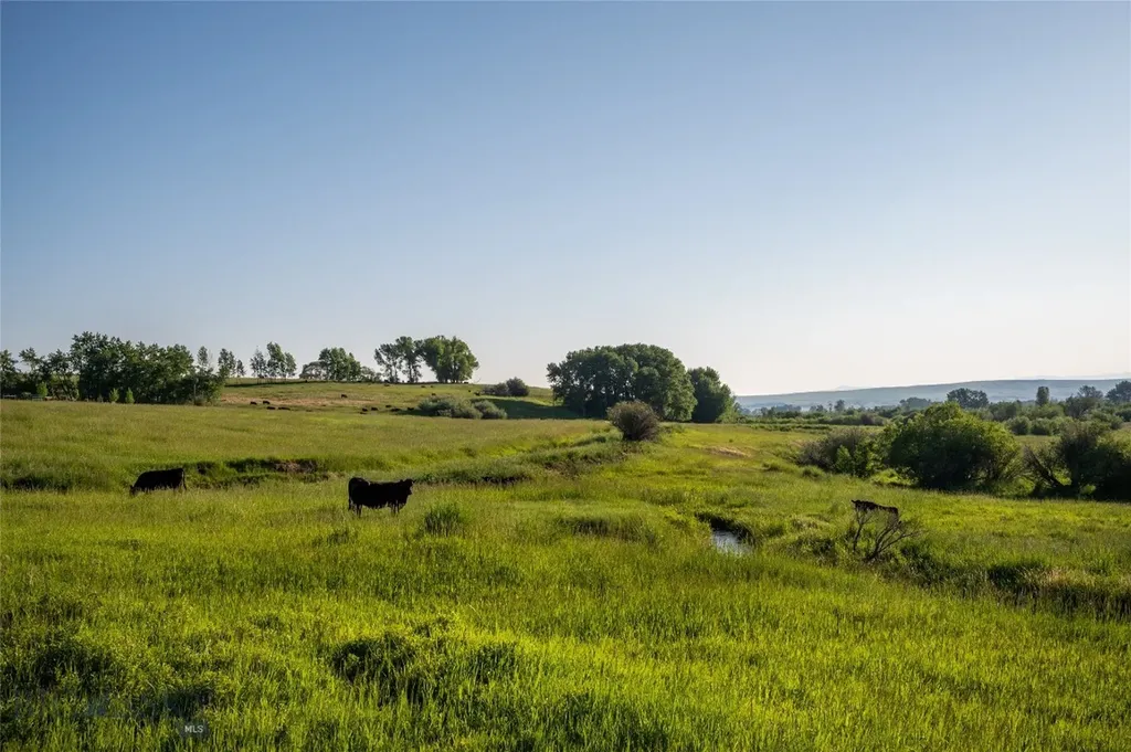 164 Pony Road Harrison MT 59735