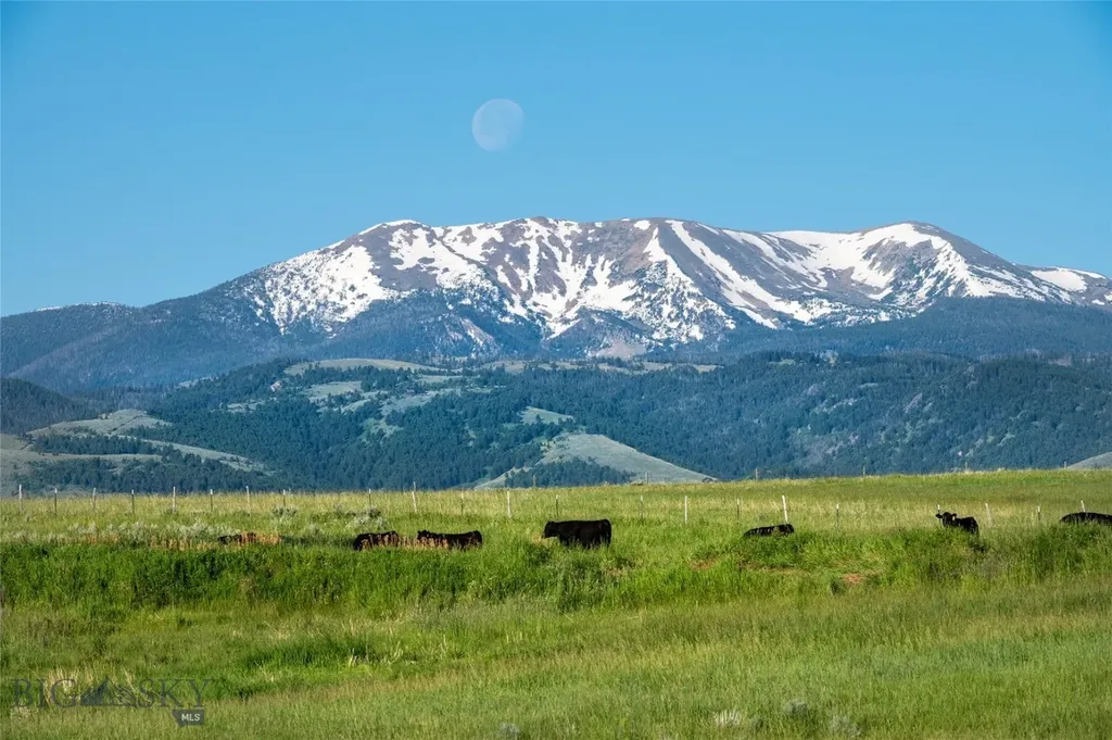 164 Pony Road Harrison MT 59735