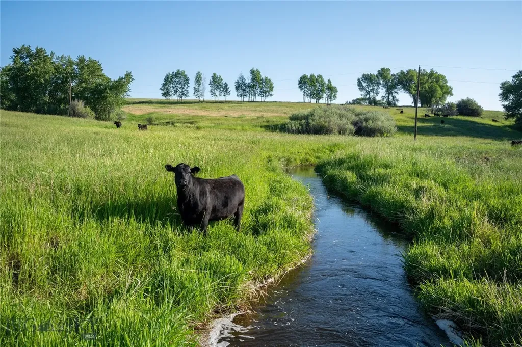 164 Pony Road Harrison MT 59735