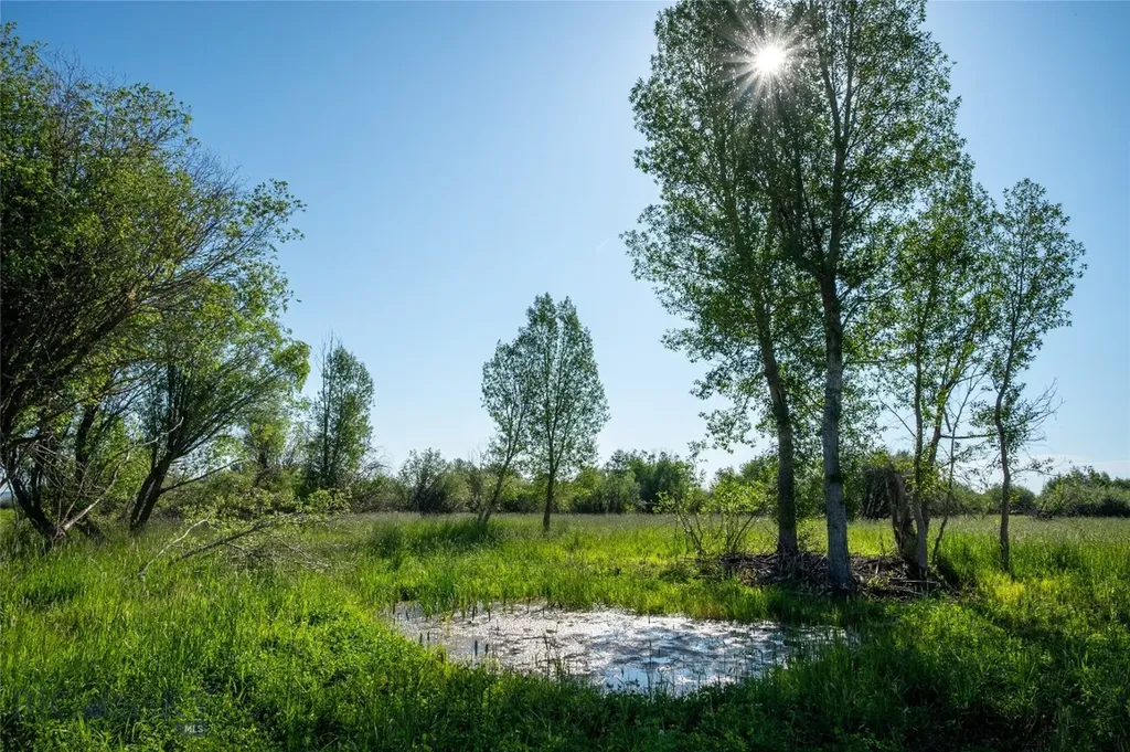 164 Pony Road Harrison MT 59735