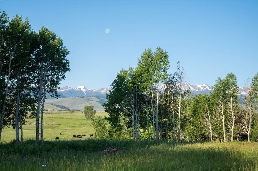 164 Pony Road Harrison MT 59735