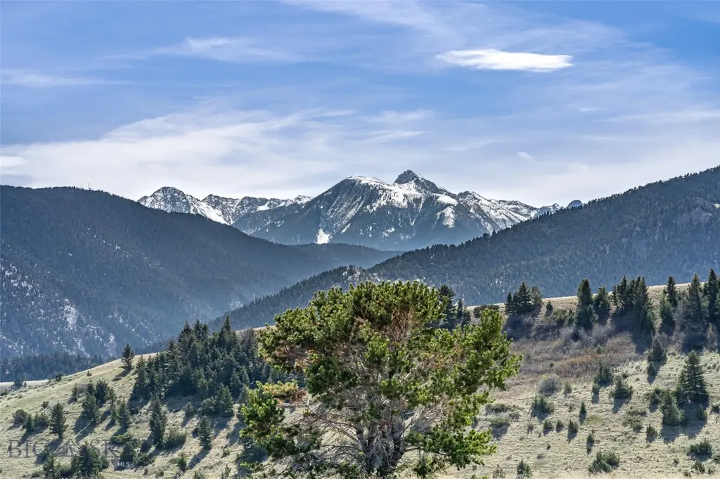 137 Buffalo Trail Livingston MT 59047