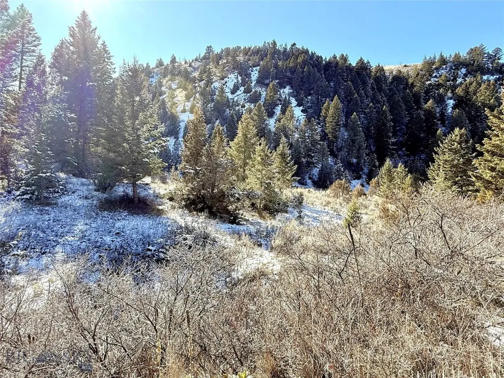 Lot 27 Tbd Round Pole Drive Three Forks MT 59752