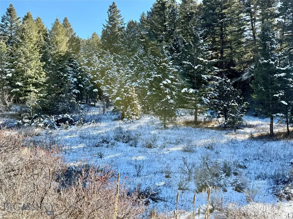 Lot 27 Tbd Round Pole Drive Three Forks MT 59752