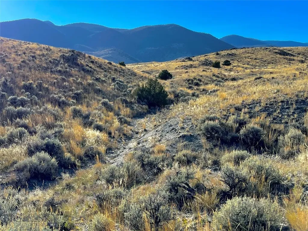 Tbd Rock Creek Road Glen MT 59732