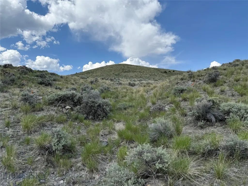 Tbd Rock Creek Road Glen MT 59732