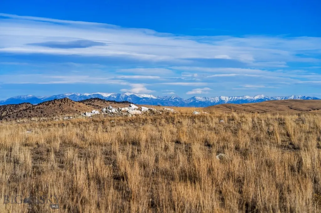 Harrison MT 59735