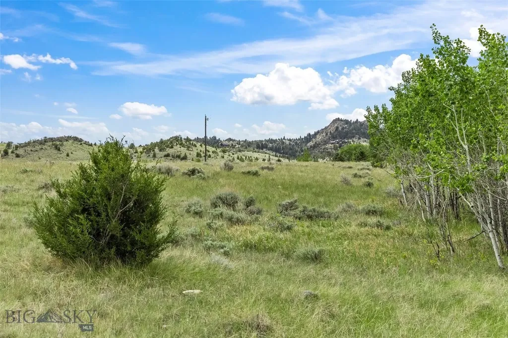 Lot 45ba Noack Road Ennis MT 59729
