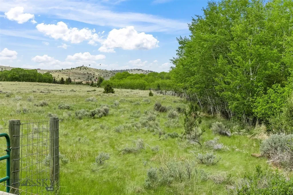 Lot 45ba Noack Road Ennis MT 59729