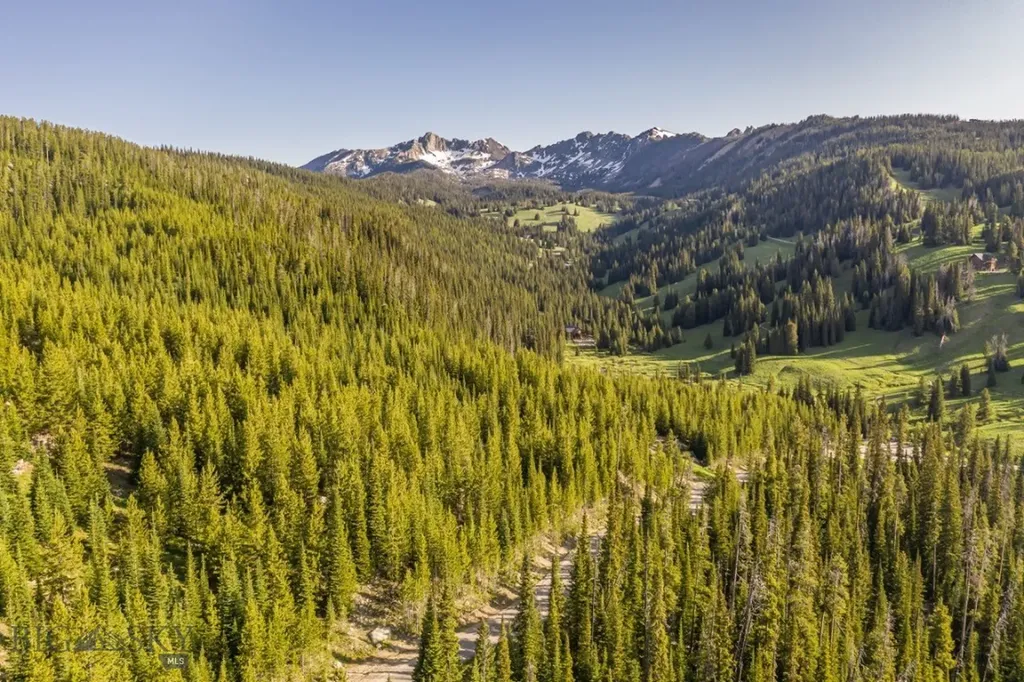 Tbd Beehive Basin Road, Lot 4 Big Sky MT 59716