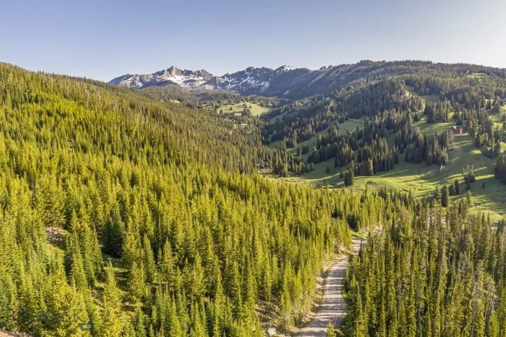 Tbd Beehive Basin Road, Lot 4 Big Sky MT 59716