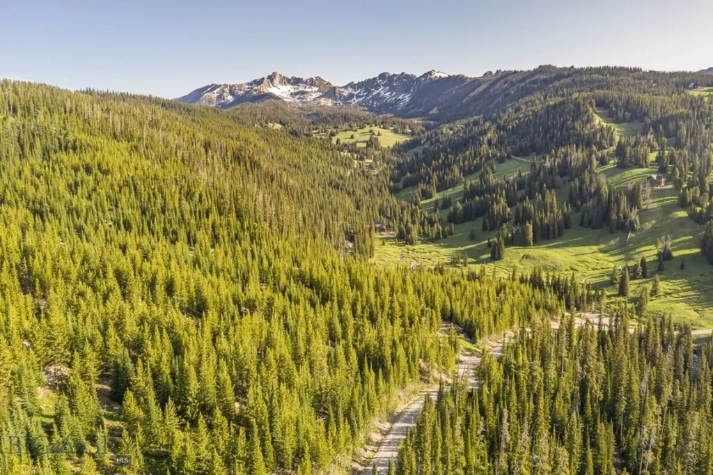 Tbd Beehive Basin Road, Lot 4 Big Sky MT 59716
