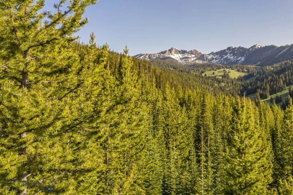 Tbd Beehive Basin Road, Lot 4 Big Sky MT 59716